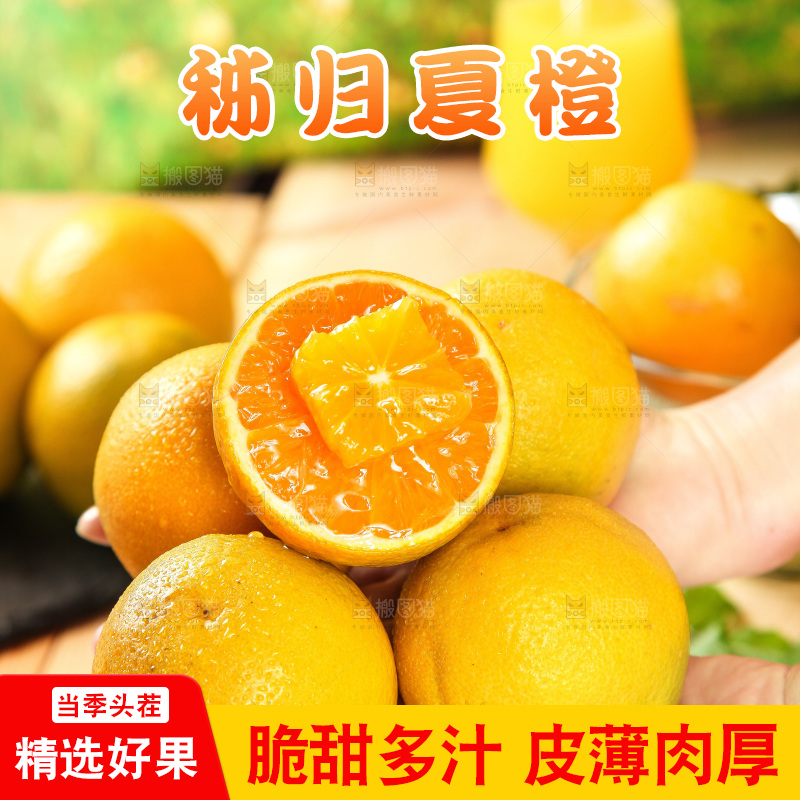 手拿着的秭归夏橙