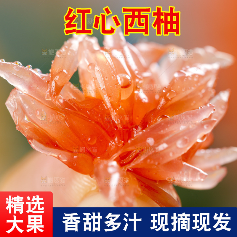 手拿剥皮红心西柚果肉