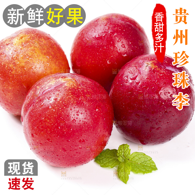 白底上的珍珠李