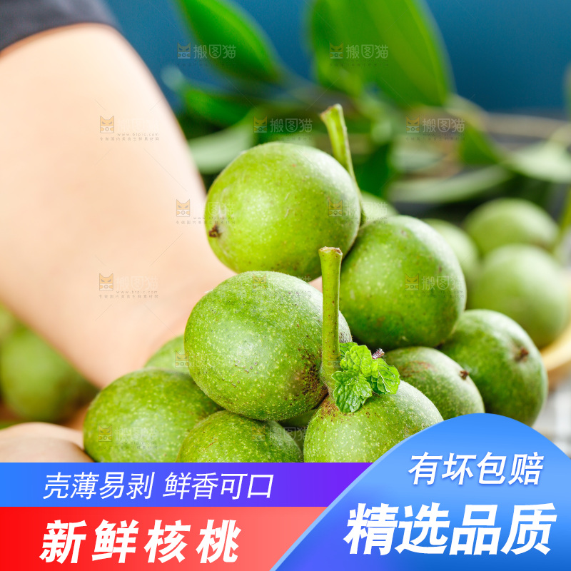 手拿青皮核桃