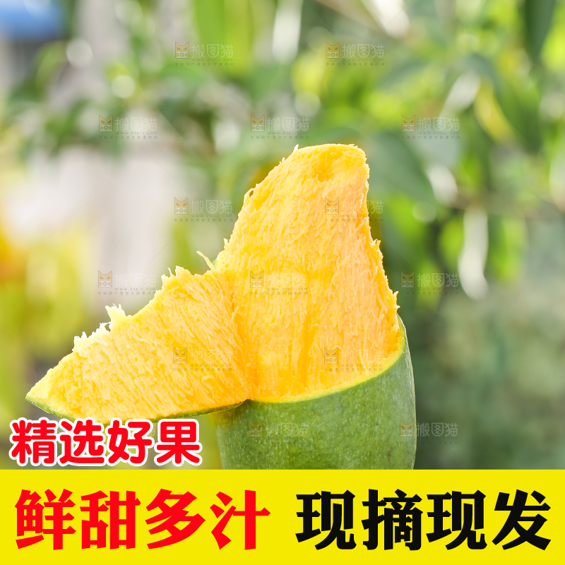 手拿剥皮的桂七芒