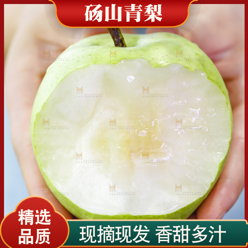 手拿的砀山青皮皇冠梨