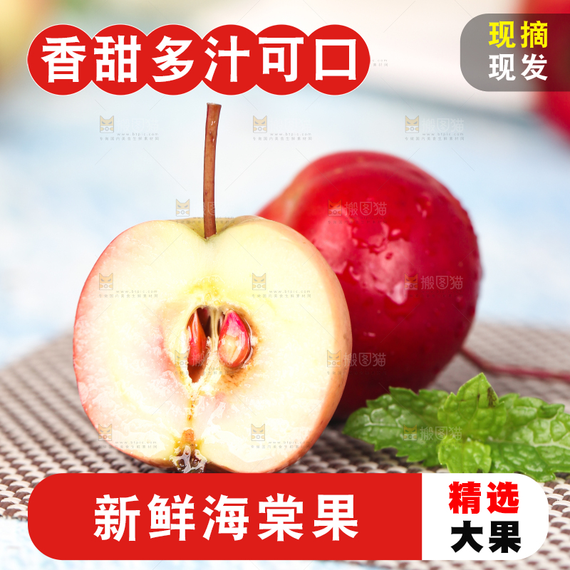 浅底上的东北海棠果