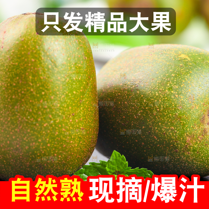 黑石板上的四川红心猕猴桃