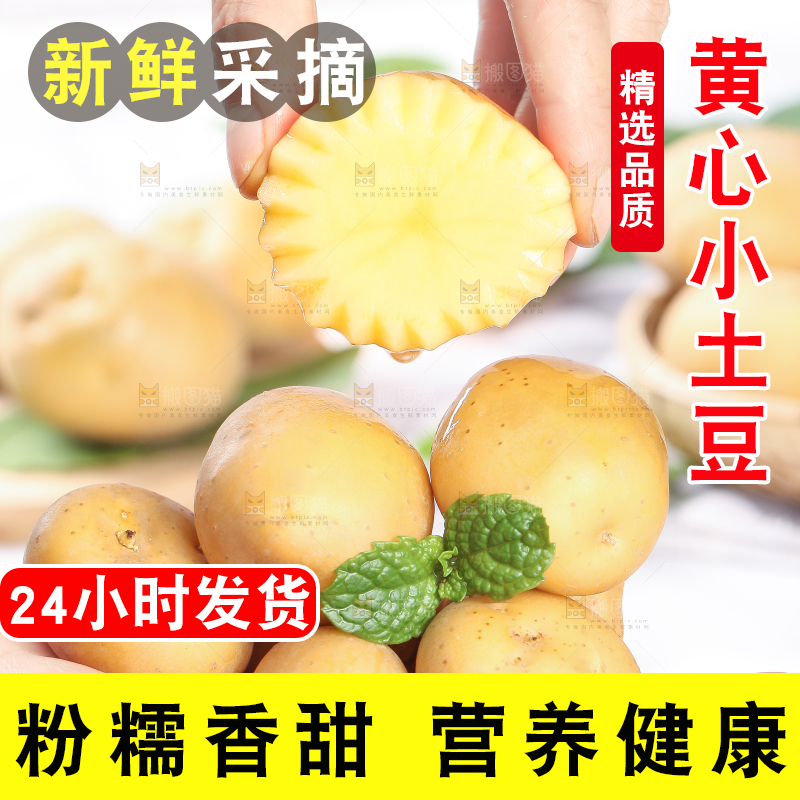 手拿云南小土豆
