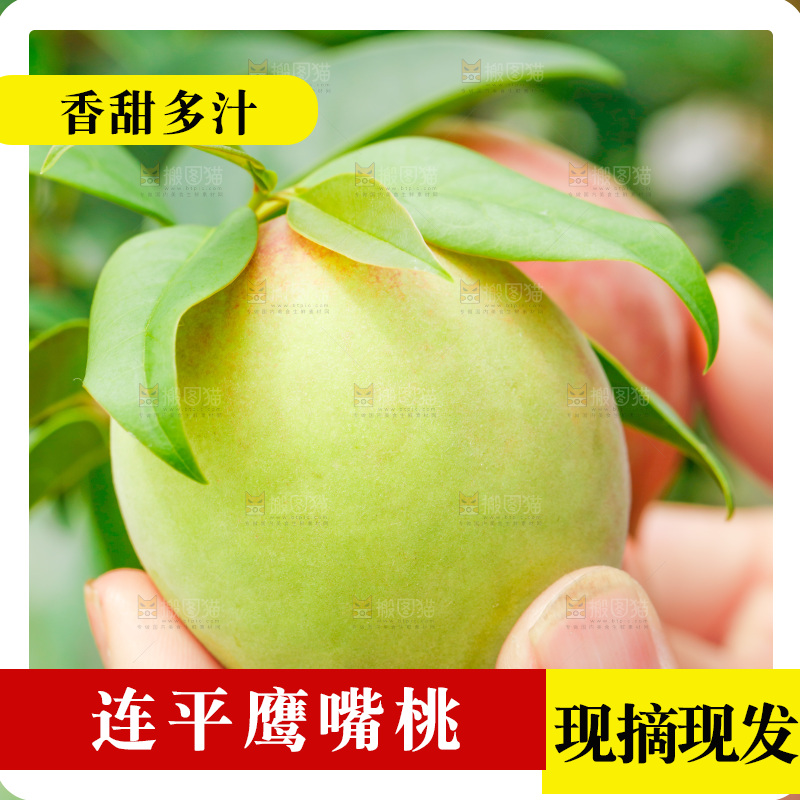 手拿云南鹰嘴水蜜桃