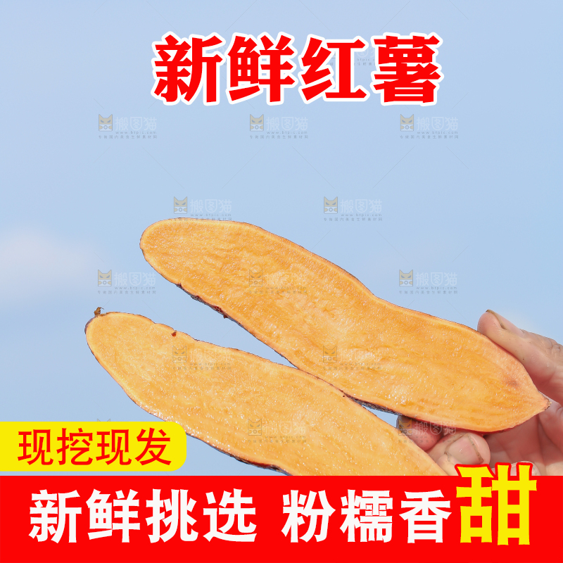 手里拿着红心蜜薯
