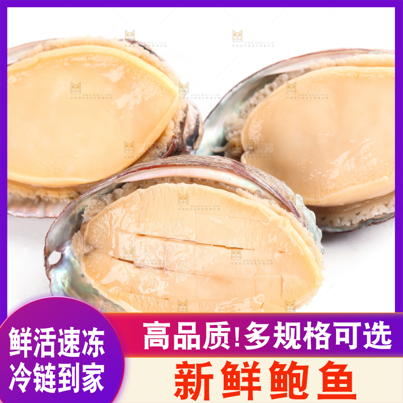白底上放着鲍鱼