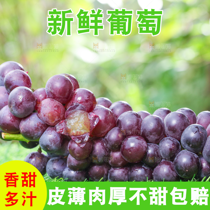 草地上的新鲜葡萄