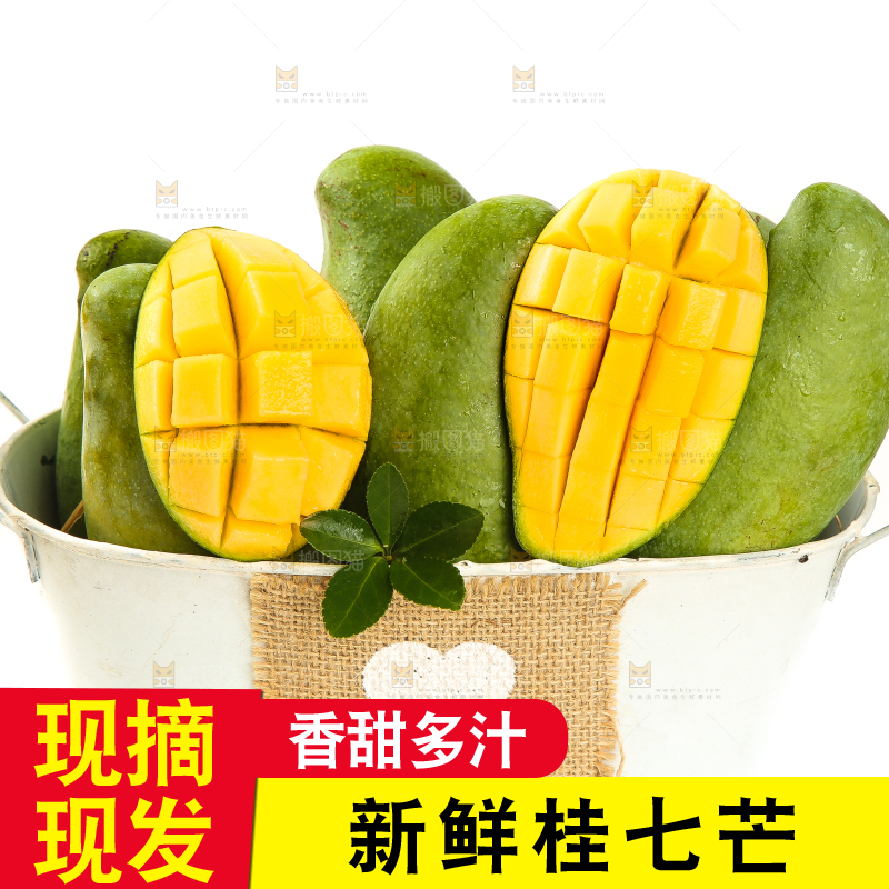 白底上放着一盘田东桂七芒