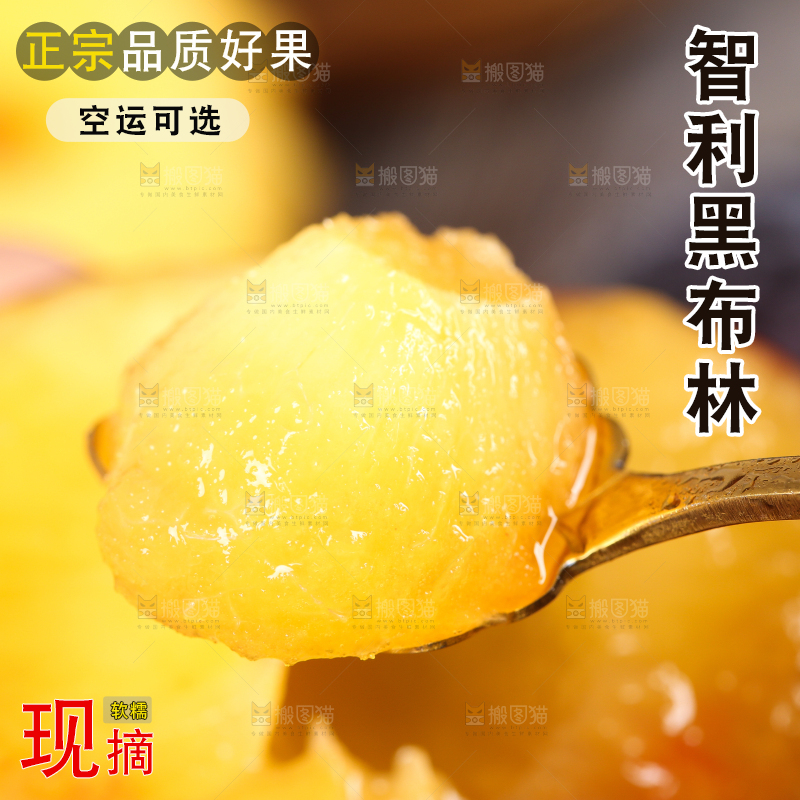 勺子里的黑布林果肉