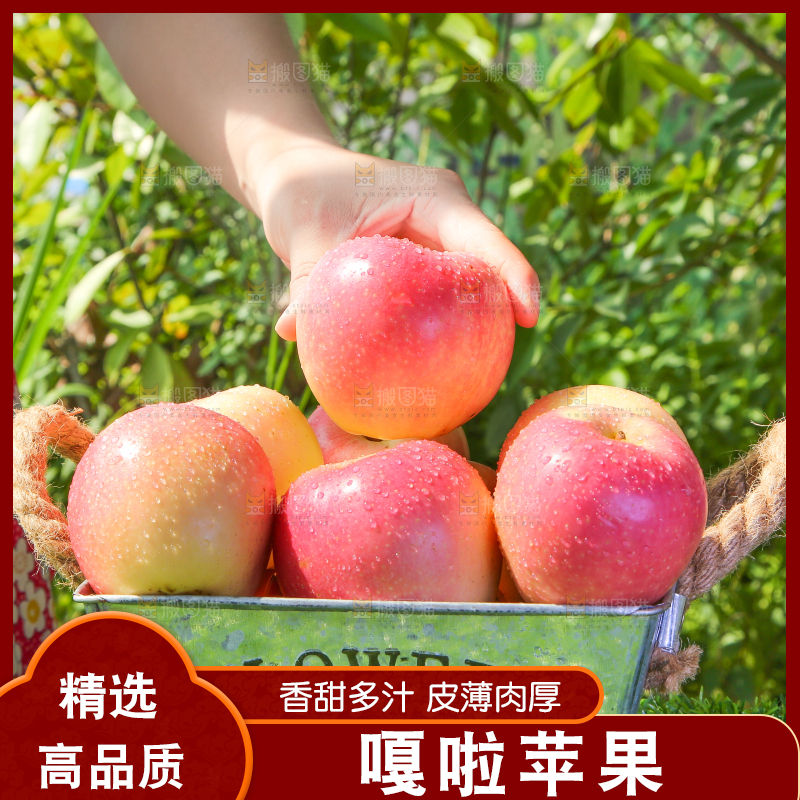 手拿嘎啦苹果