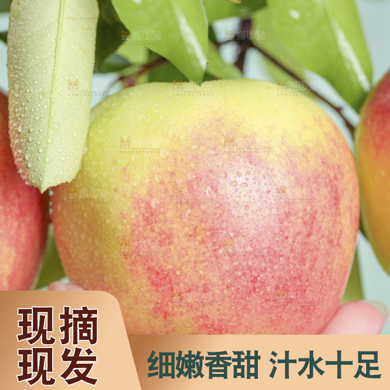 手拿嘎啦苹果