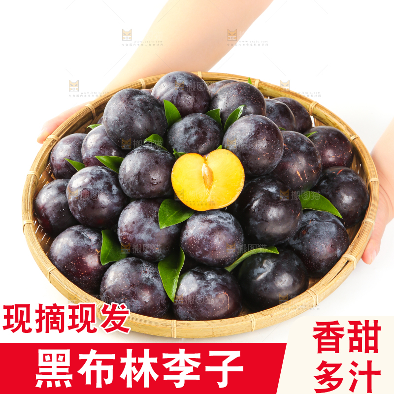 白底上手端一盘智利黑布林