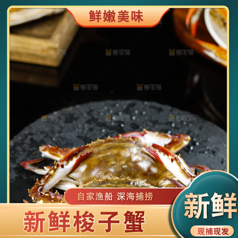 石板上的梭子蟹