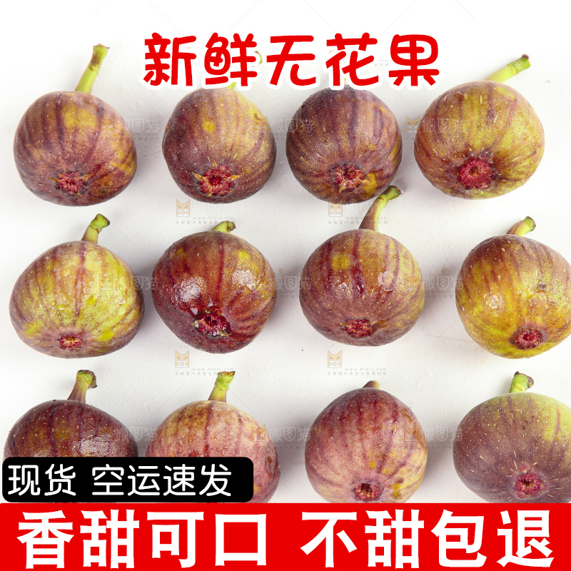 白底上的无花果