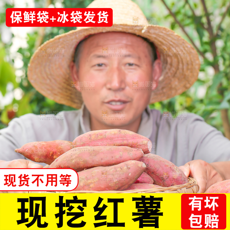 农民手里端着一盘红心红薯