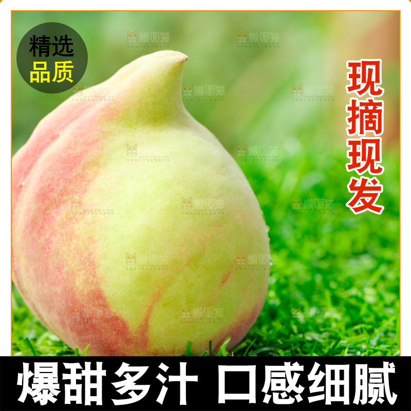 草地上的鹰嘴水蜜桃