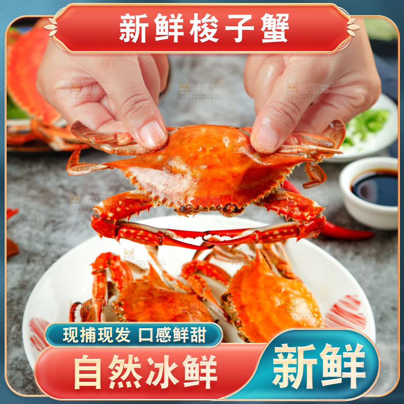 手拿梭子蟹