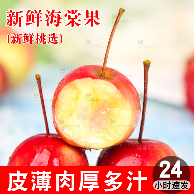 浅底上的东北海棠果