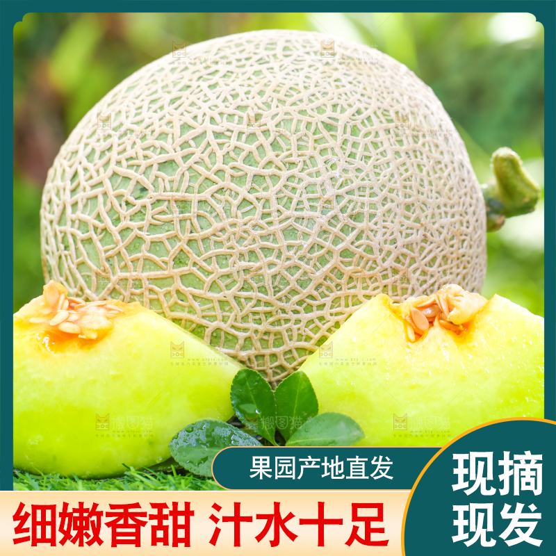 草地上放着切开的网纹蜜瓜