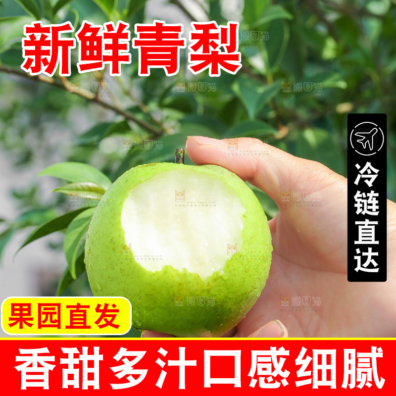 手里拿着砀山苹果梨