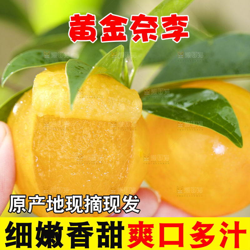 手拿剥皮的黄金奈李