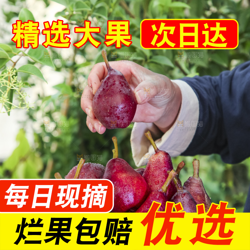 手拿一筐红啤梨