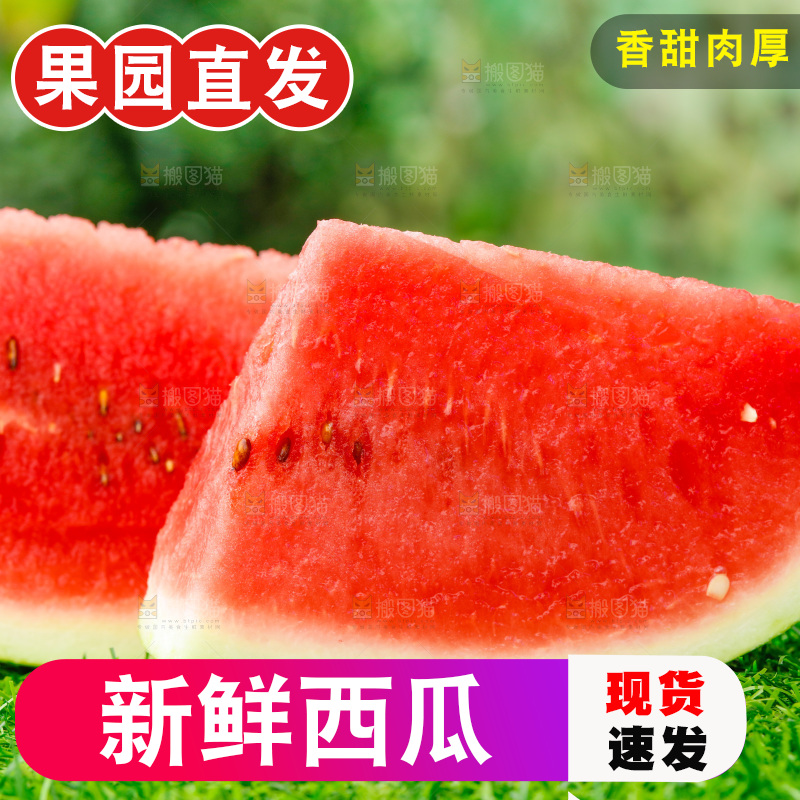 草地上放着红肉西瓜