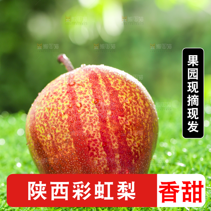 草地上放着早酥红梨子