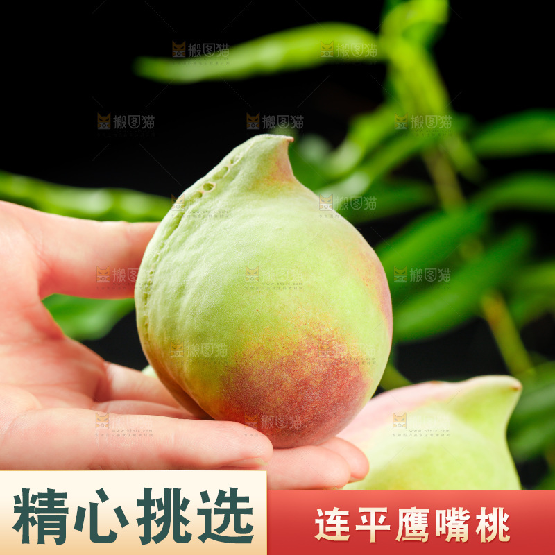 手拿鹰嘴桃