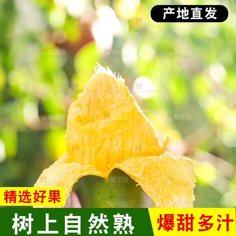 手拿剥皮的桂七芒