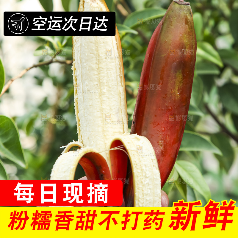 手拿剥皮的红皮香蕉