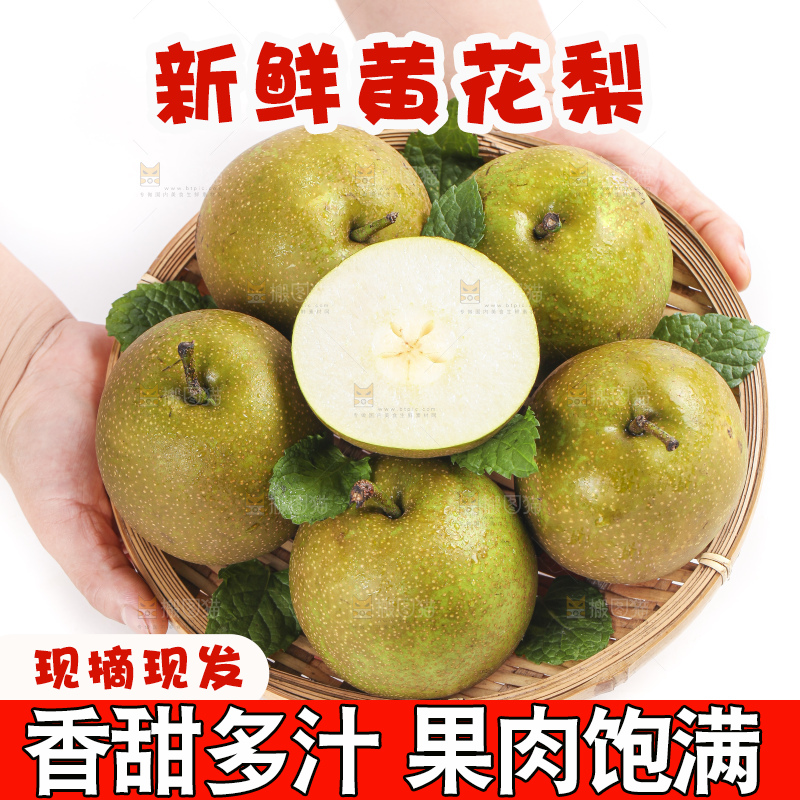 手端一盘黄花梨