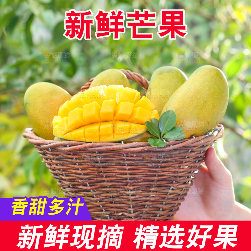 手拿一筐海南鸡蛋芒