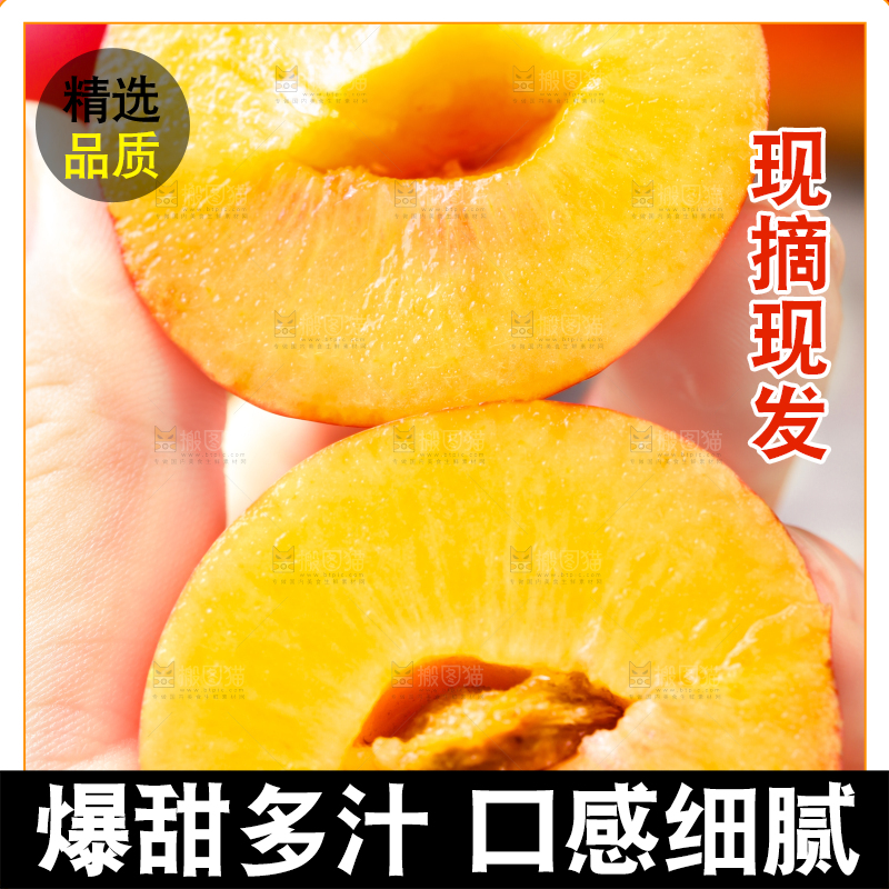 手拿掰开的珍珠李