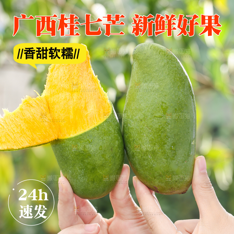 手拿剥皮的桂七芒