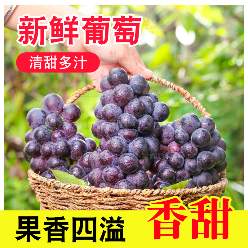 草地上的新鲜葡萄
