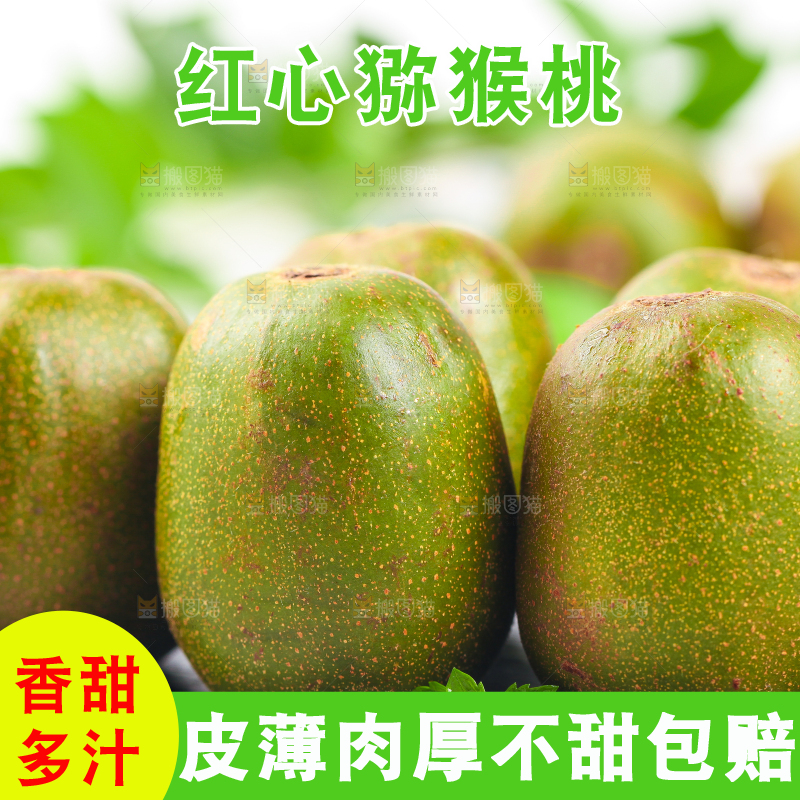 黑石板上的四川红心猕猴桃