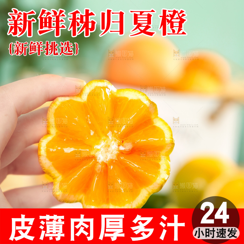 手拿切开的夏橙