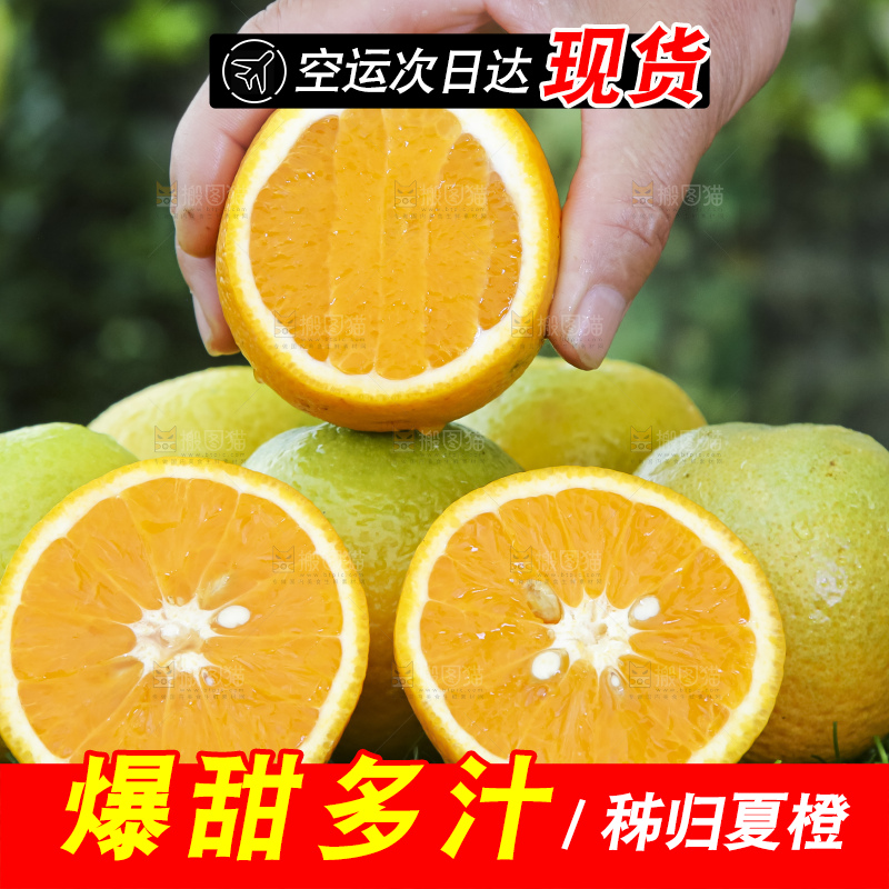 草地上的夏橙