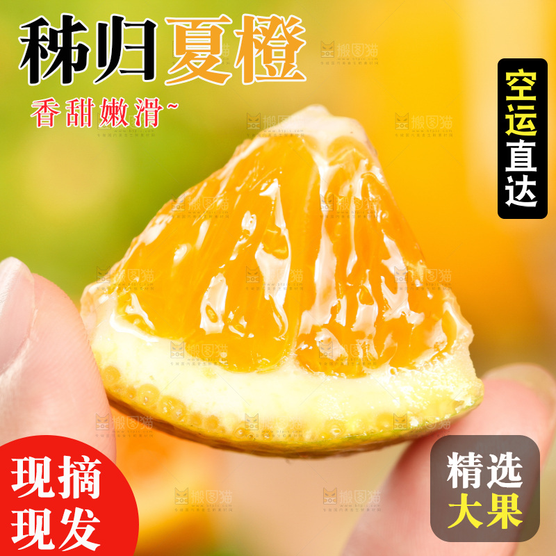 手拿切开的秭归夏橙