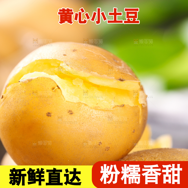 木底上放着富硒黄心熟土豆