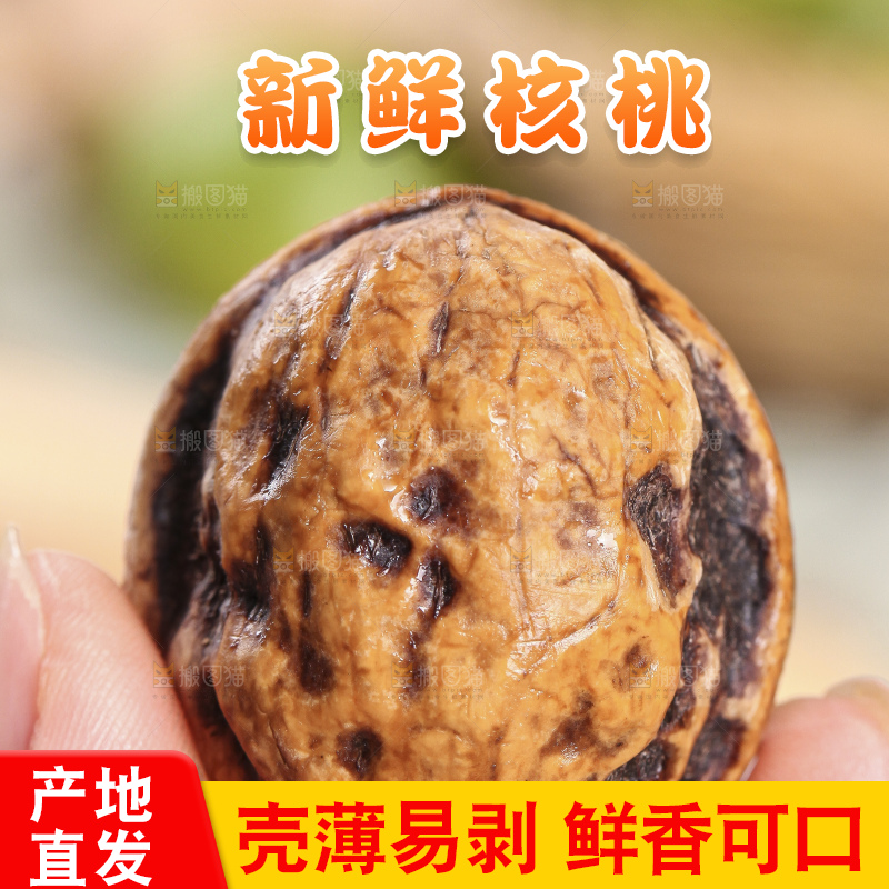 手拿新鲜去皮湿核桃