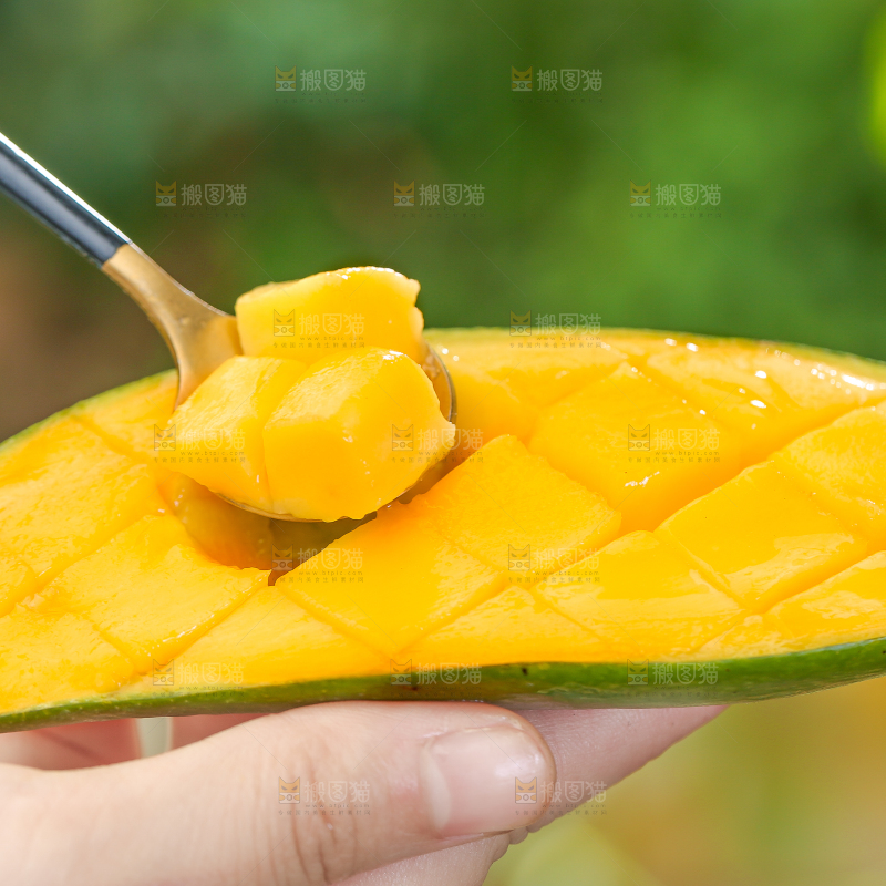 勺子里的桂七芒果肉