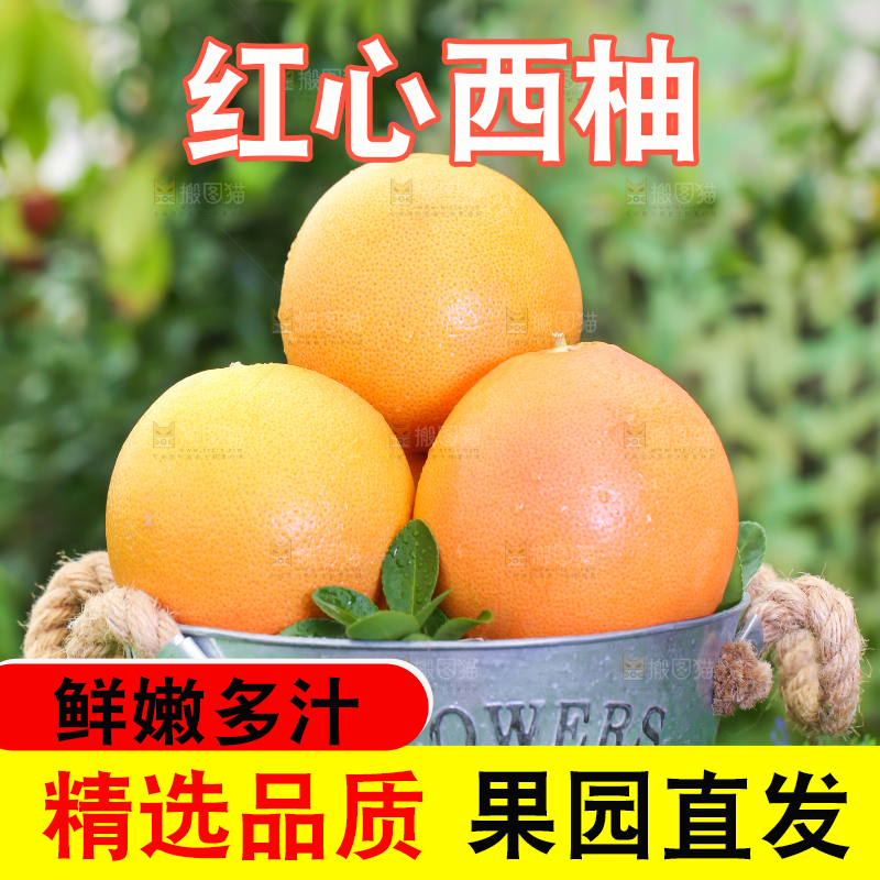 草地上放着一桶南非西柚