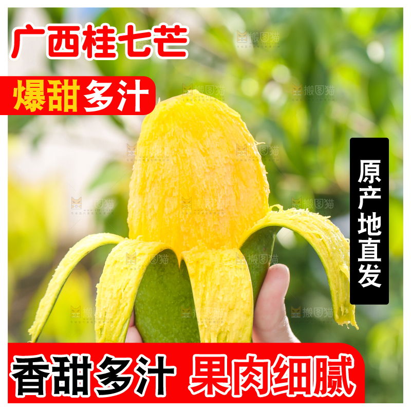 手拿剥皮的桂七芒