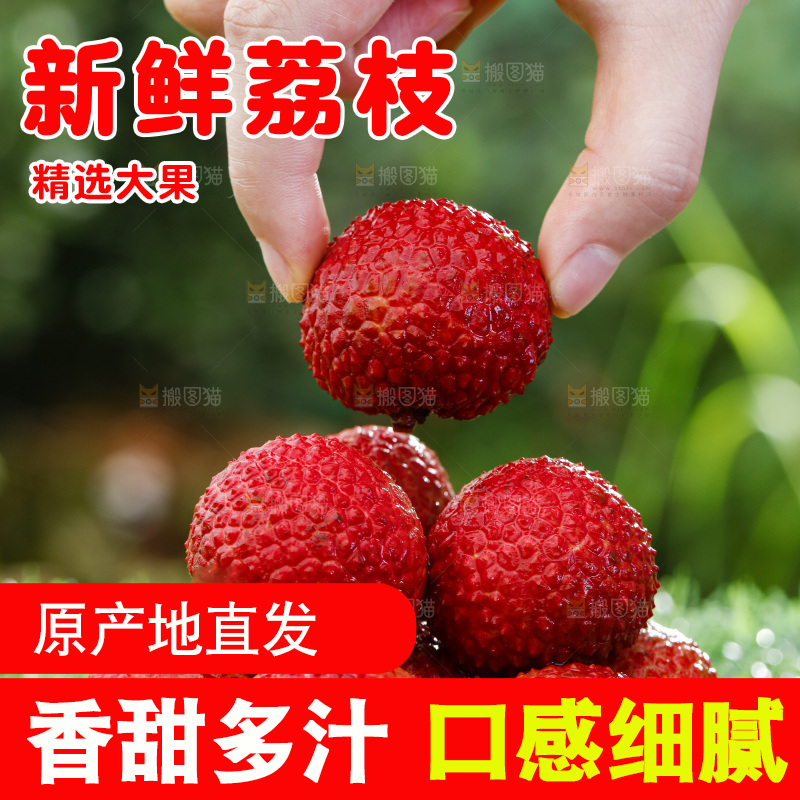 手拿荔枝
