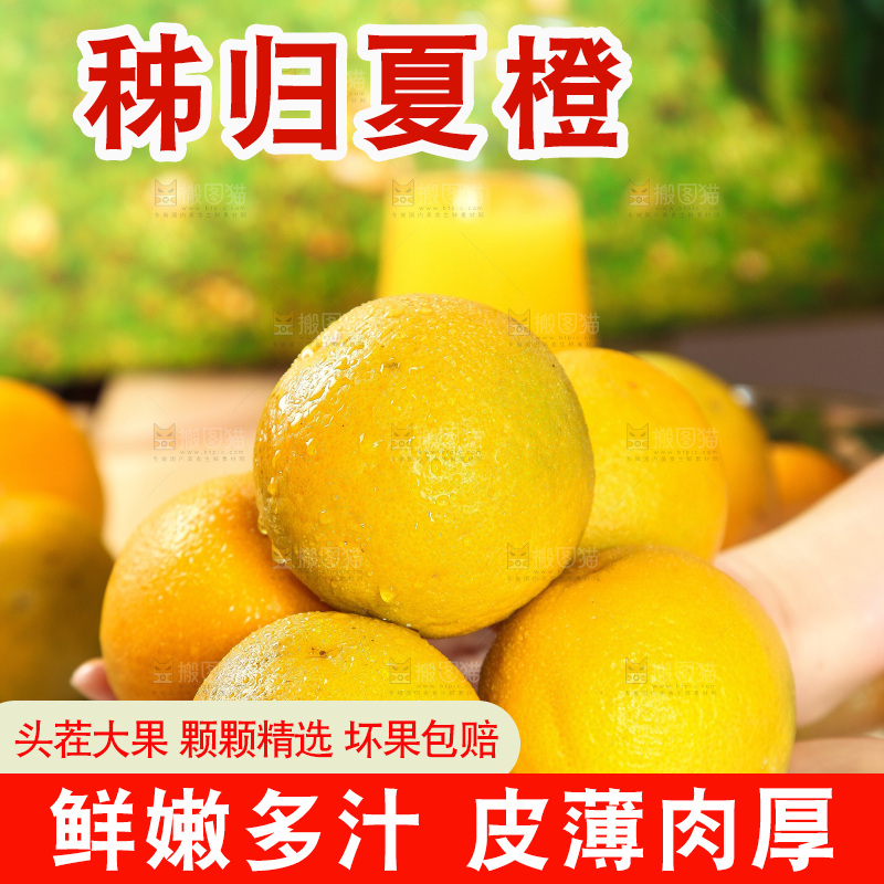 手拿着的秭归夏橙