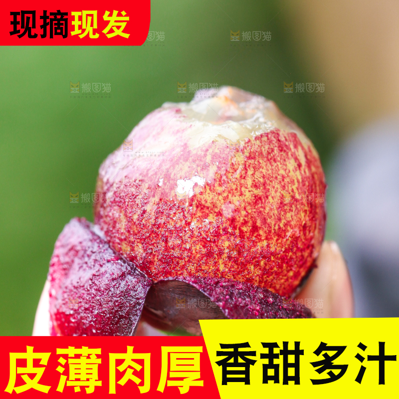 手拿剥皮的巨峰葡萄